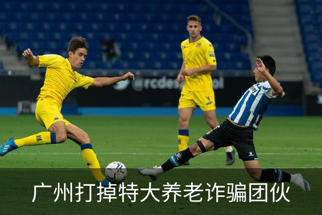 广州打掉特大养老诈骗团伙