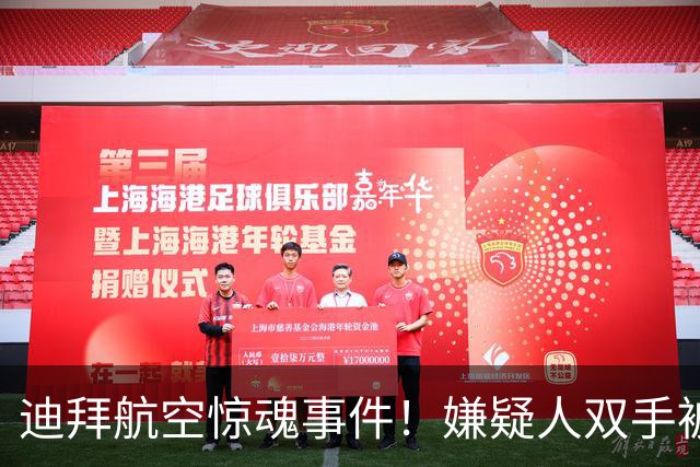 迪拜航空惊魂事件！嫌疑人双手被绑跪登机口，细节曝光
